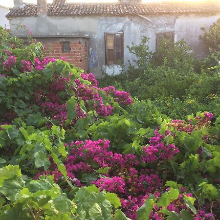 Parmis Rooms Çeşme Εξωτερικό φωτογραφία