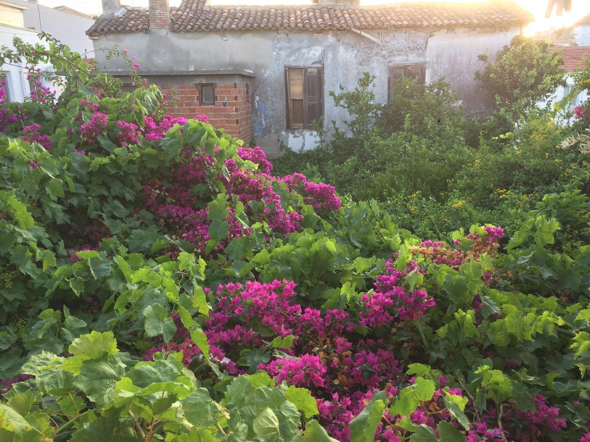 Parmis Rooms Çeşme Εξωτερικό φωτογραφία